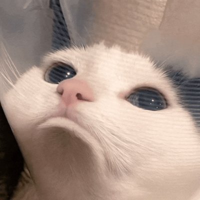 happy_noises