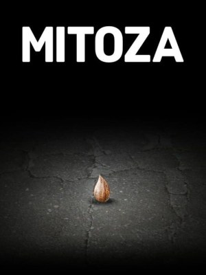 Mitoza
