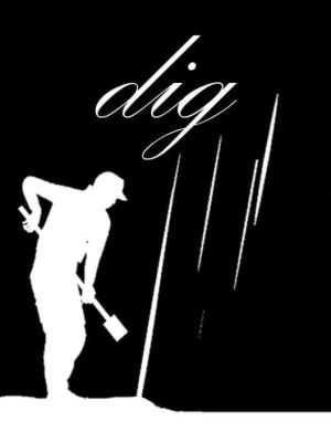 D.i.G.