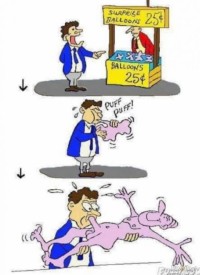 HAHHAHAHAH !